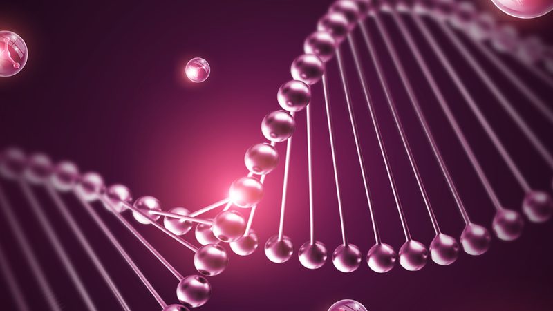 生物科技实验室设备安装：规范背后的关键考量**