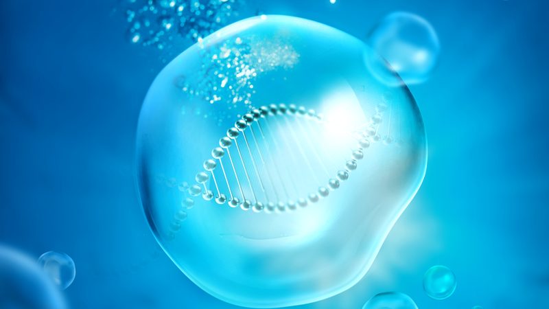 生物医药外包设备参数对比表