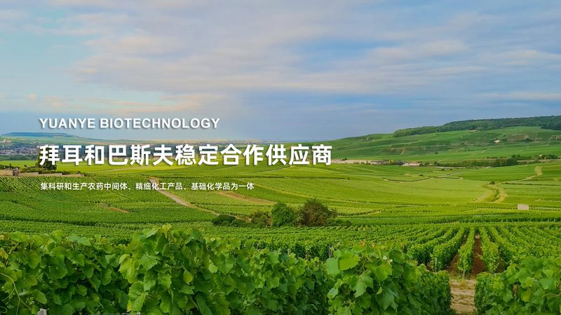 抗体保存液配方：揭秘其背后的科学奥秘与加盟条件**