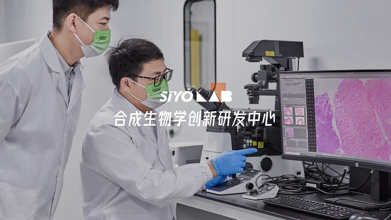 PCR检测定制服务怎么选
