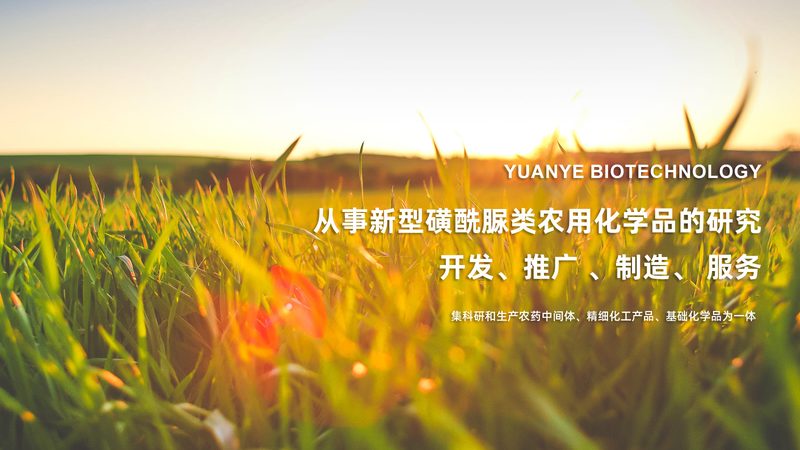 RNA提取试剂盒纯化步骤详解：关键环节与注意事项