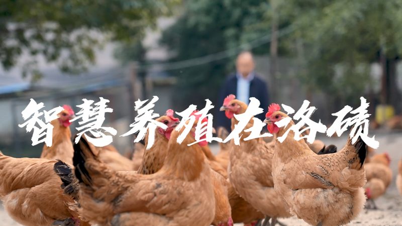 基因检测与基因筛查：技术原理解析